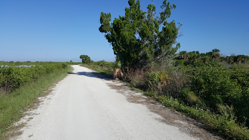 Ein Pflichtbesuch: Blackpoint Wildlife Drive